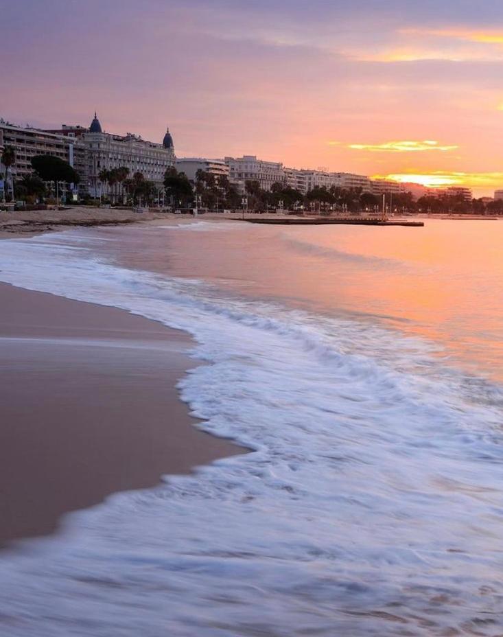 Superbe Studio Proche Palais Et Plages A Pieds Cannes Exterior foto