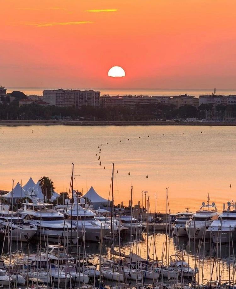 Superbe Studio Proche Palais Et Plages A Pieds Cannes Exterior foto