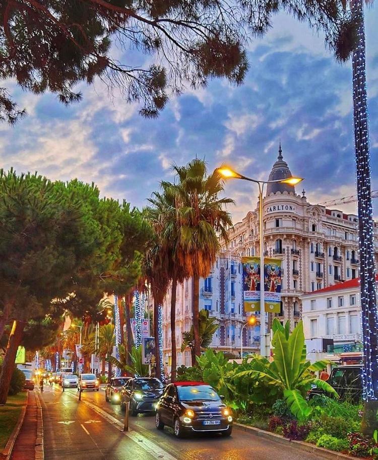 Superbe Studio Proche Palais Et Plages A Pieds Cannes Exterior foto